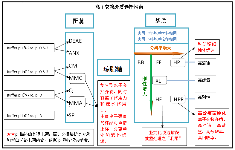 5d400d129fe71.png A2.png