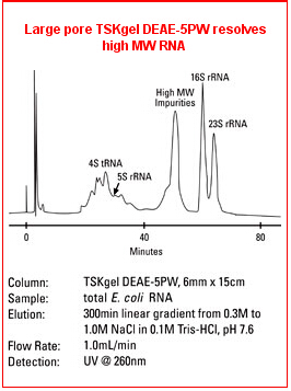 5d4b9277891e4.png A.png