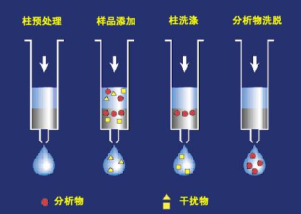 5d4ce01328365.png 2.png