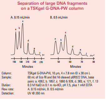 5d5b5e4d12607.png 1.png